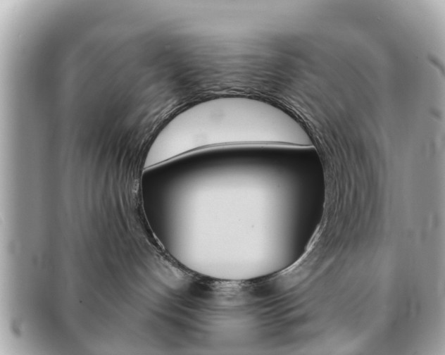 X0000091590192200708201000
