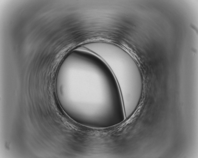 X0000091590193200708201000