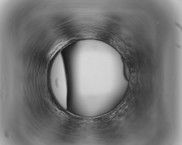 X0000091590194200708201000