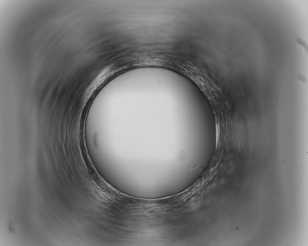 X0000091590195200708201000