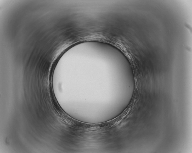 X0000091590196200708201000
