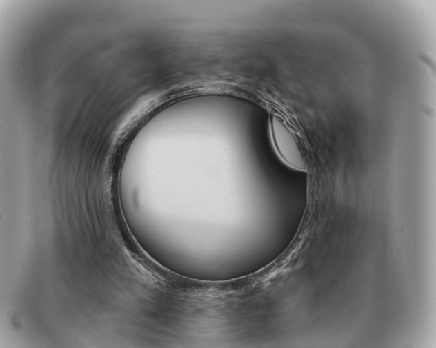 X0000091590197200708201000
