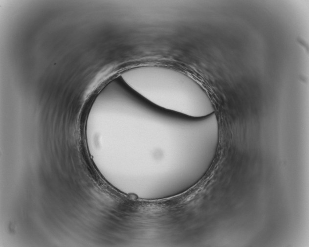 X0000091590198200708201000