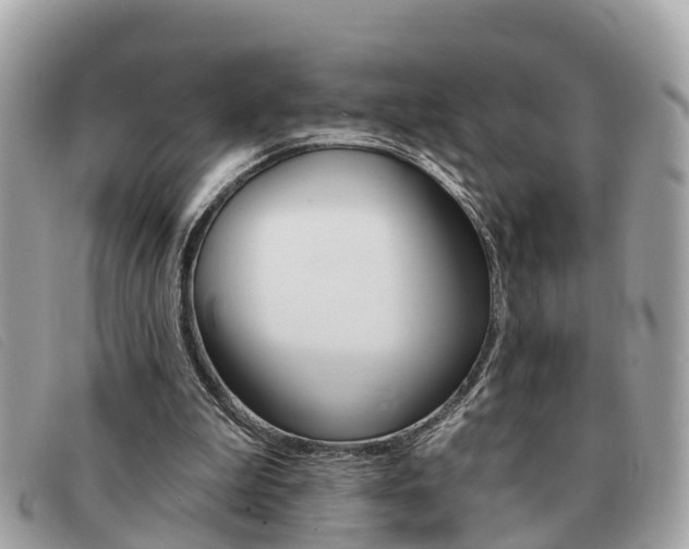 X0000091590199200708200959