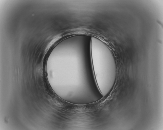 X0000091590200200708200959