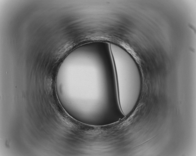 X0000091590201200708200959