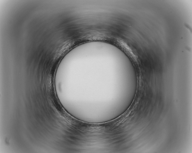 X0000091590202200708200959