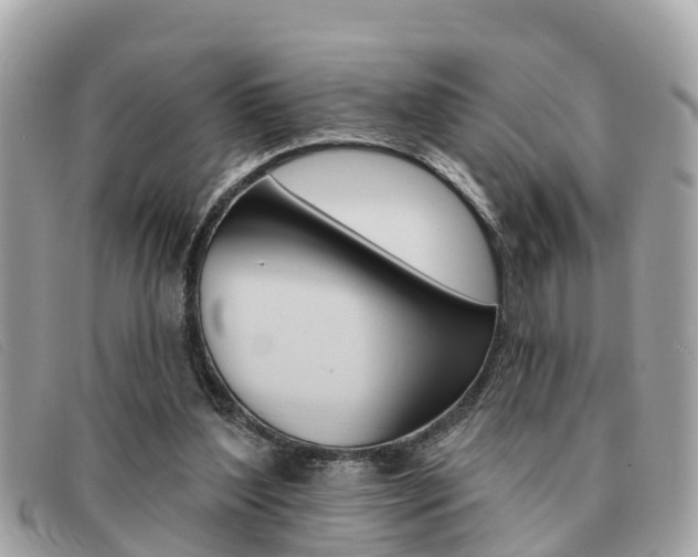 X0000091590204200708200959
