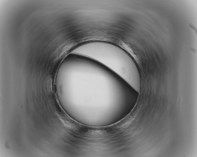 X0000091590205200708200959