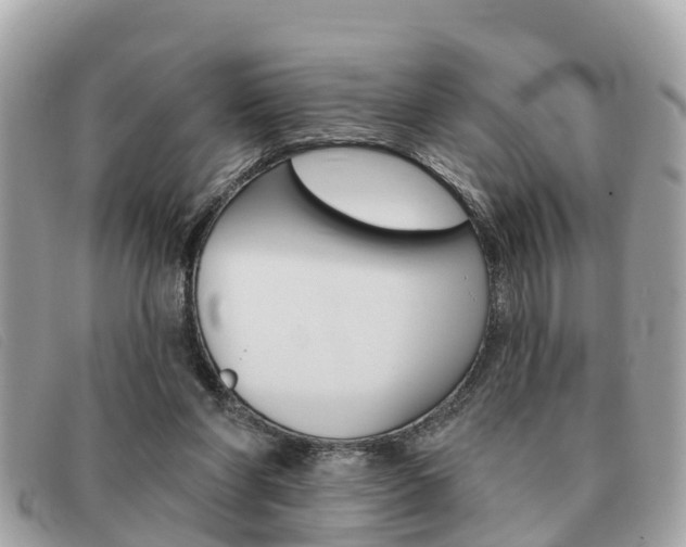 X0000091590206200708200959