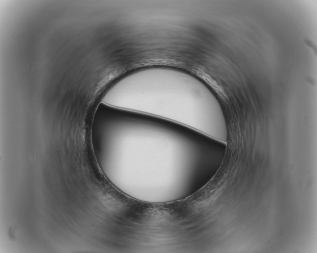 X0000091590207200708200959