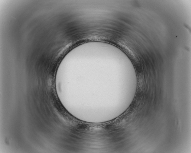 X0000091590208200708200959
