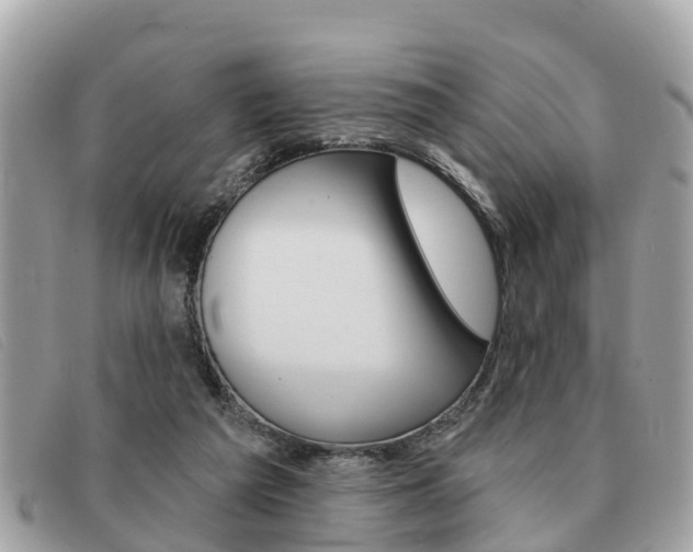 X0000091590209200708200959