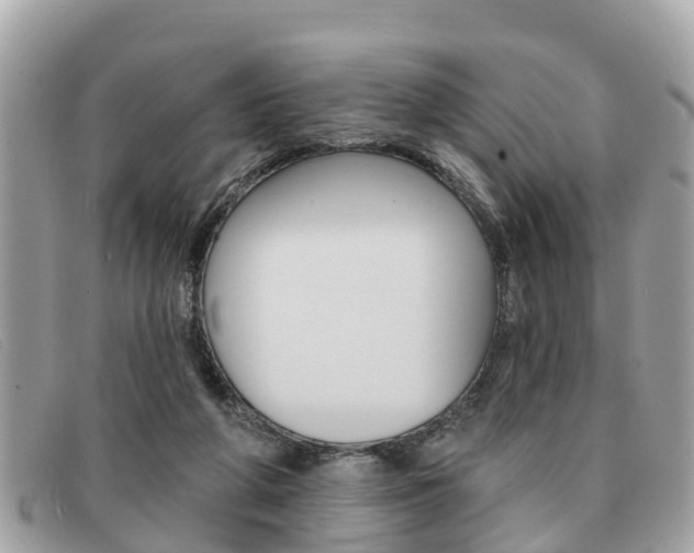 X0000091590210200708200959