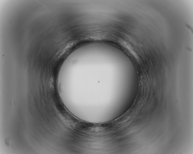 X0000091590212200708200959
