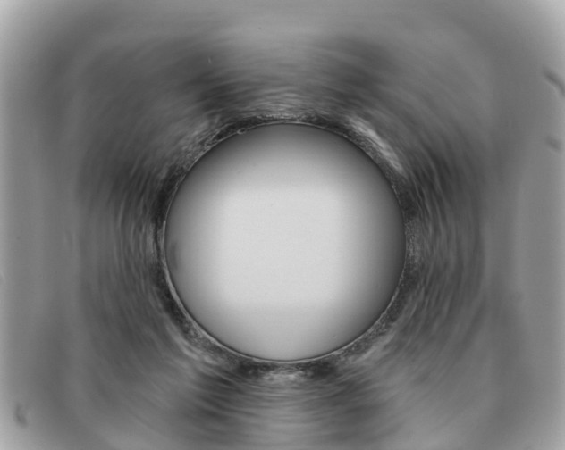 X0000091590213200708200959