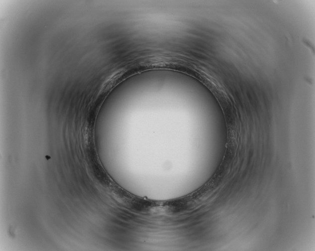 X0000091590216200708200959