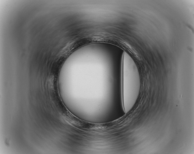 X0000091590217200708200959