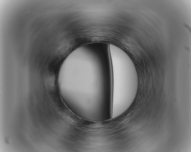 X0000091590219200708200959