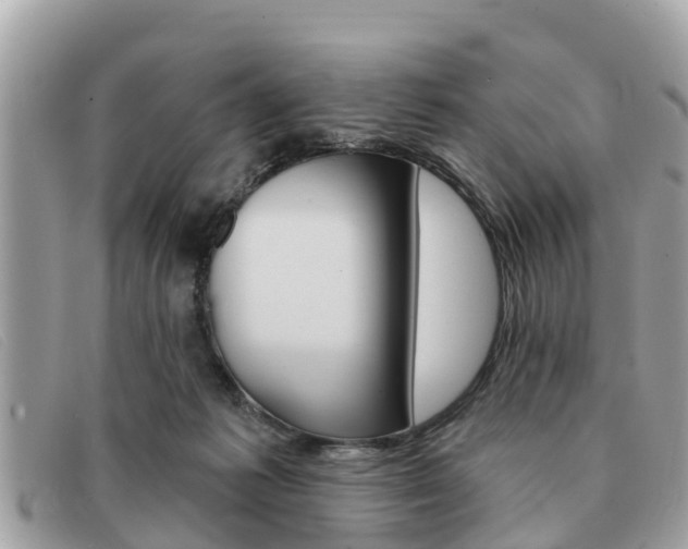 X0000091590221200708200959