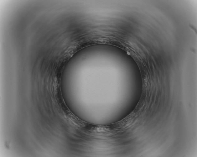 X0000091590223200708200959