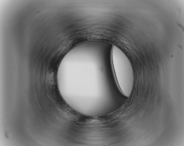 X0000091590224200708200959