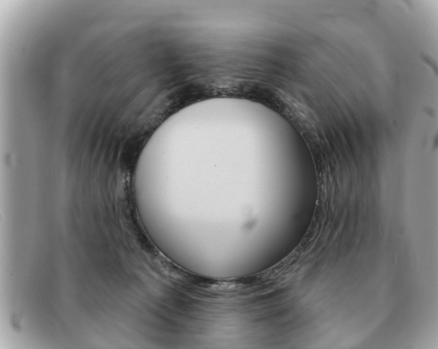 X0000091590225200708200959