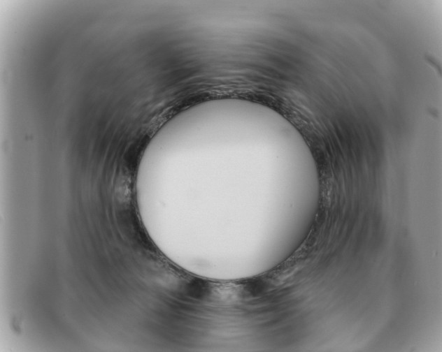 X0000091590226200708200959
