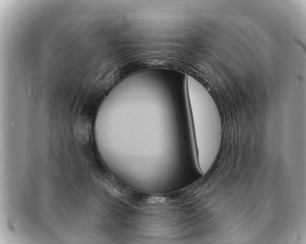 X0000091590227200708200959