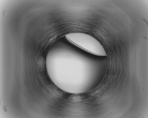 X0000091590228200708200959