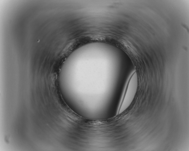 X0000091590229200708200959
