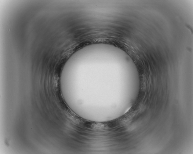 X0000091590230200708200959