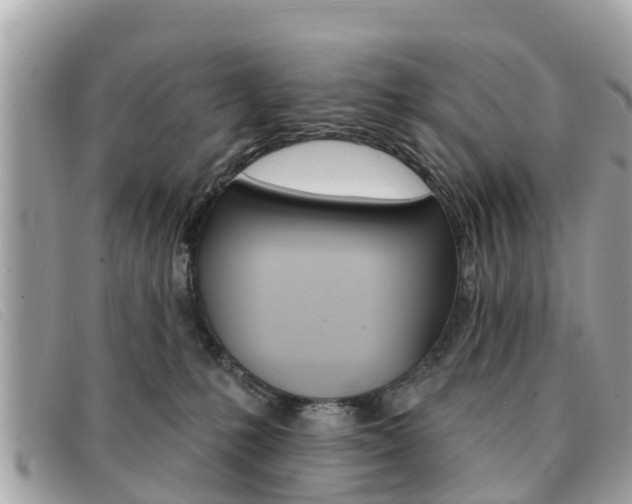 X0000091590231200708200959