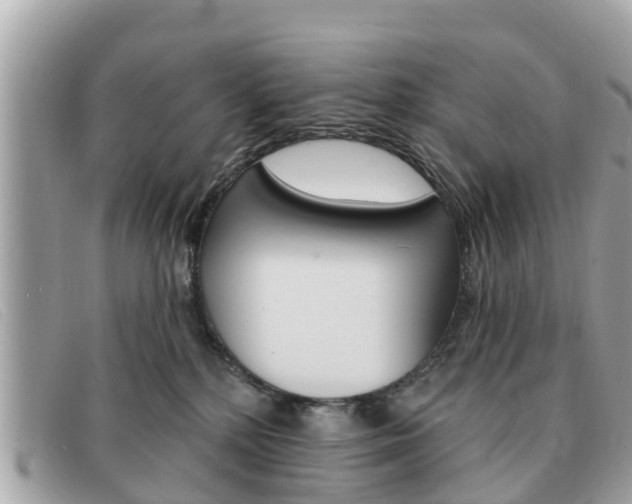 X0000091590232200708200959