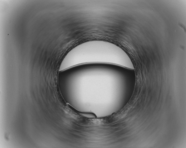 X0000091590233200708200959