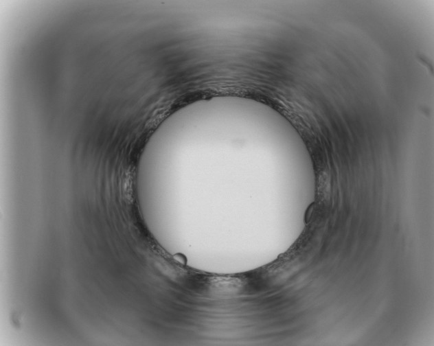 X0000091590234200708200959
