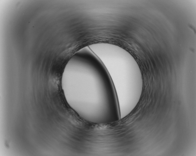 X0000091590235200708200959