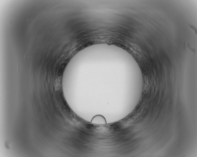 X0000091590236200708200959