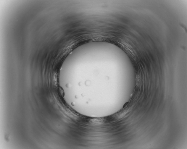 X0000091590238200708200959