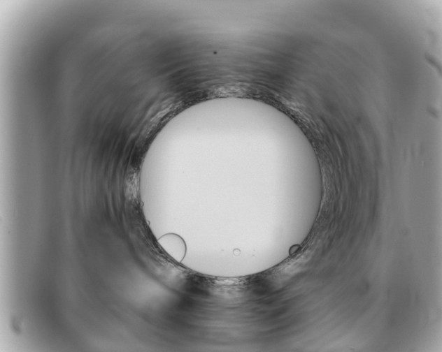X0000091590240200708200959
