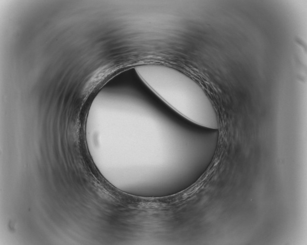 X0000091590242200708200958