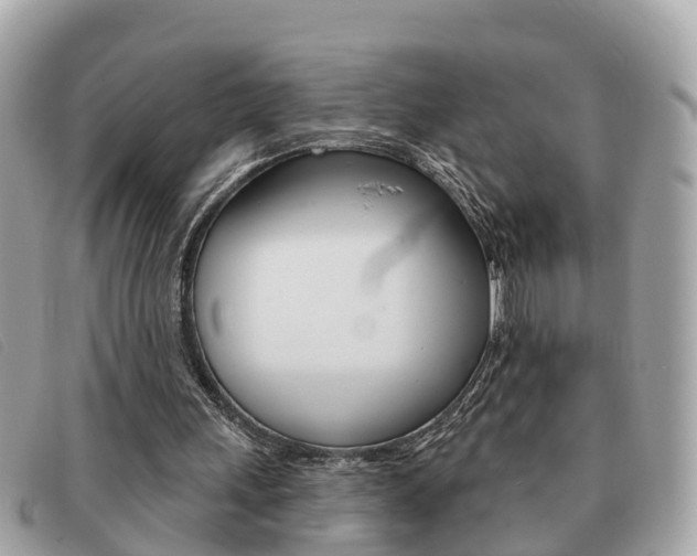 X0000091590243200708200958