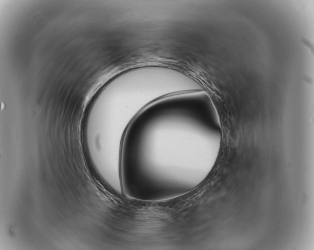 X0000091590244200708200958