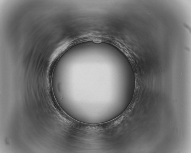 X0000091590245200708200958