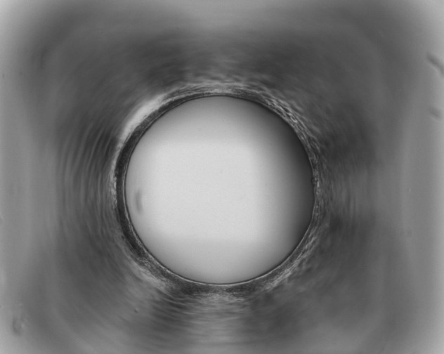 X0000091590246200708200958
