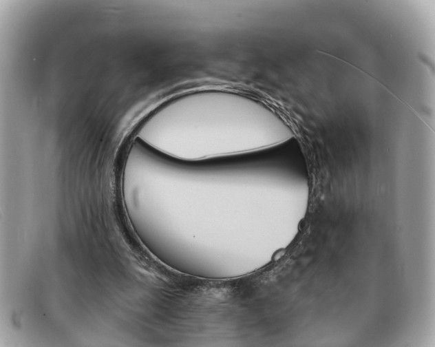 X0000091590247200708200958