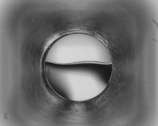 X0000091590248200708200958