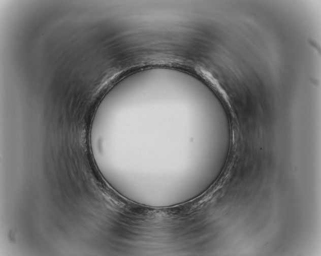 X0000091590249200708200958