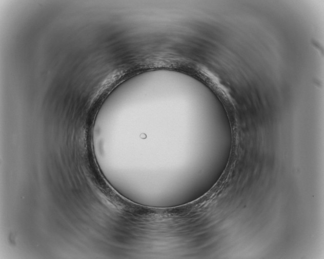X0000091590250200708200958