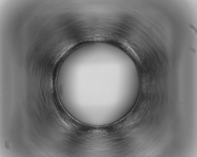 X0000091590251200708200958